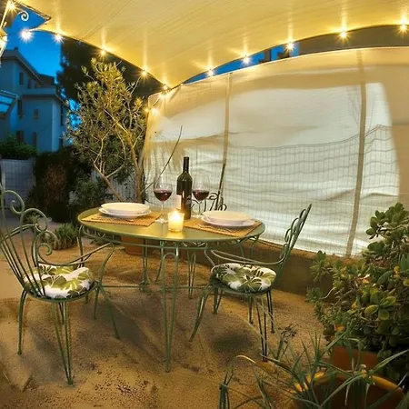 Elisa's Garden